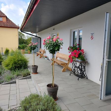Pokoje Pod Grusza -Osobne Wejscia Bad Kudowa Exterior foto