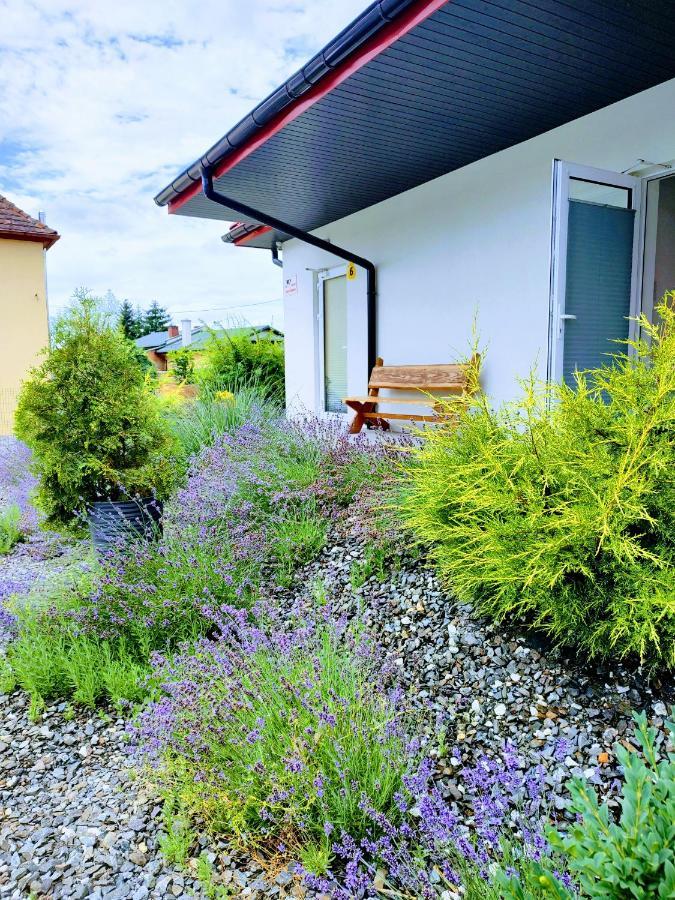 Pokoje Pod Grusza -Osobne Wejscia Bad Kudowa Exterior foto