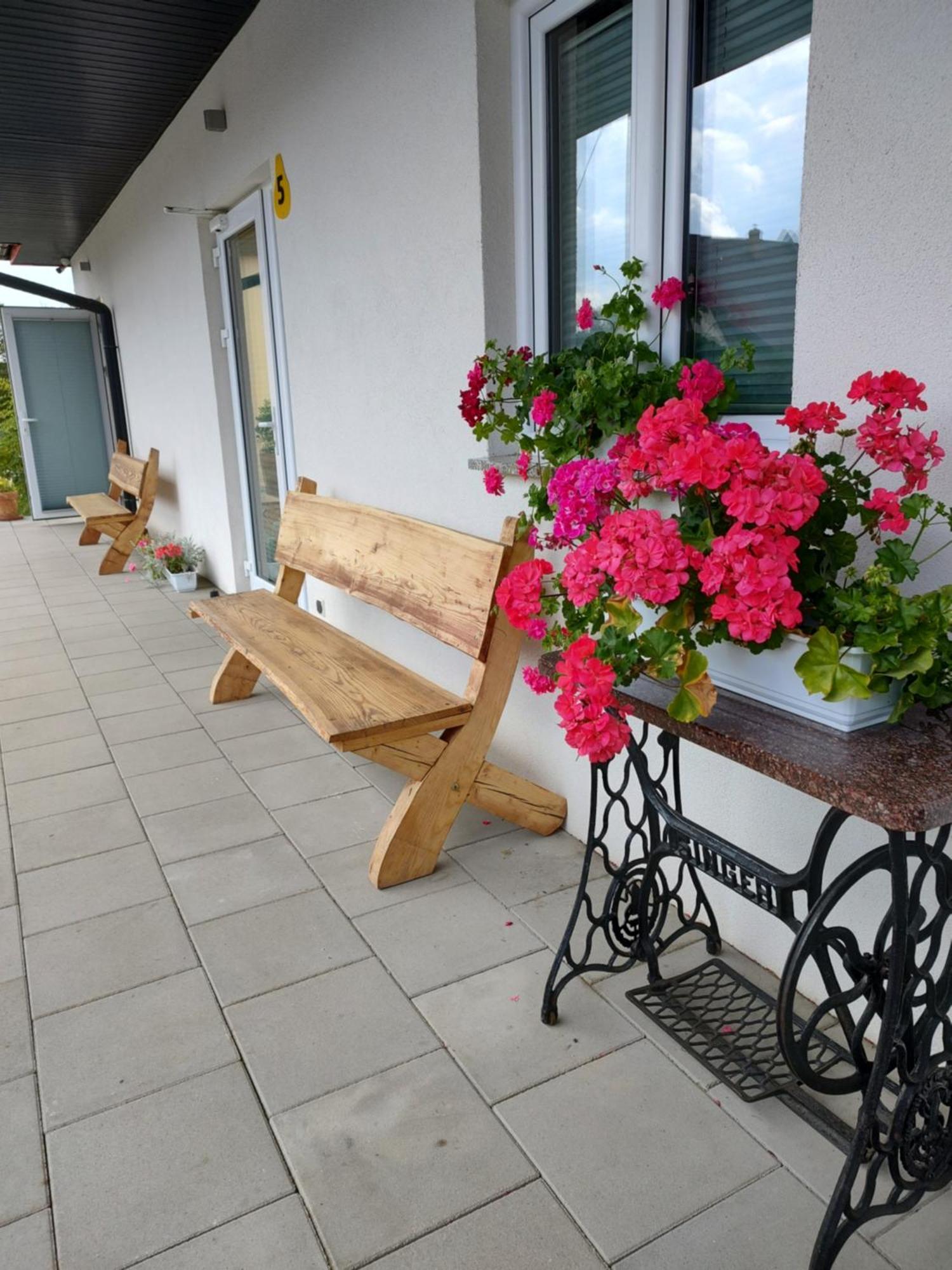 Pokoje Pod Grusza -Osobne Wejscia Bad Kudowa Exterior foto